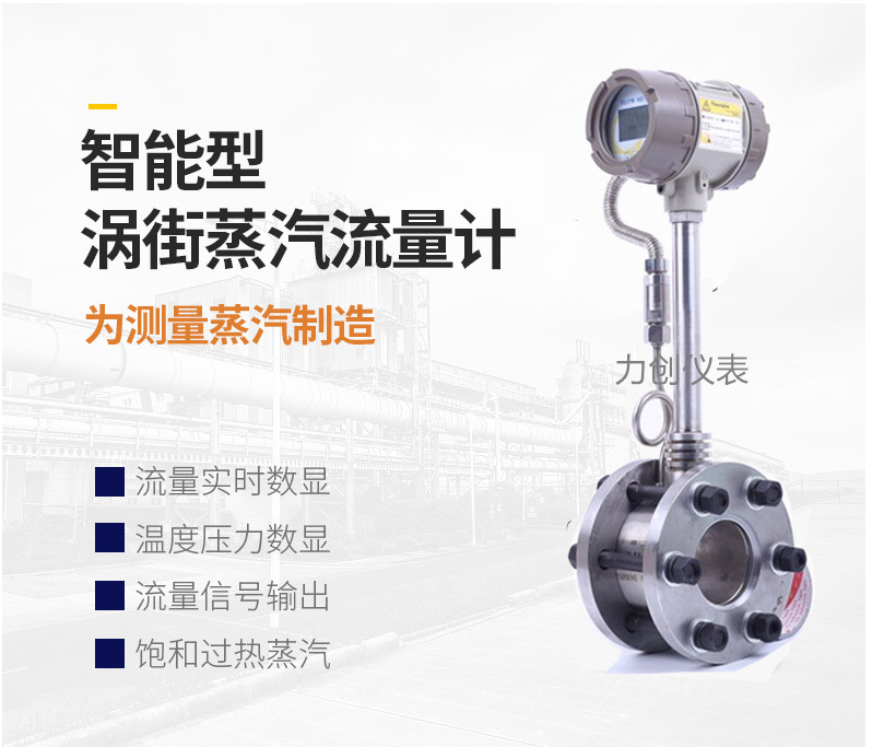 蒸汽流量計